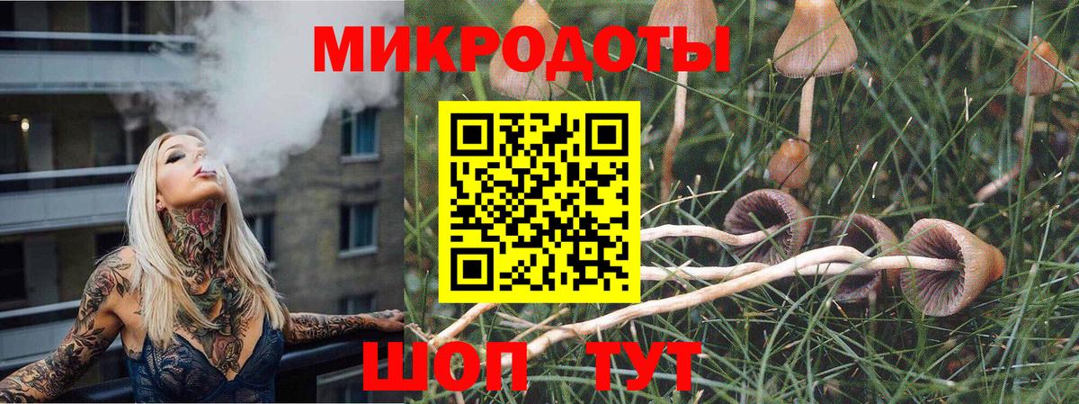 Галлюциногенные грибы прущие грибы Жигулёвск